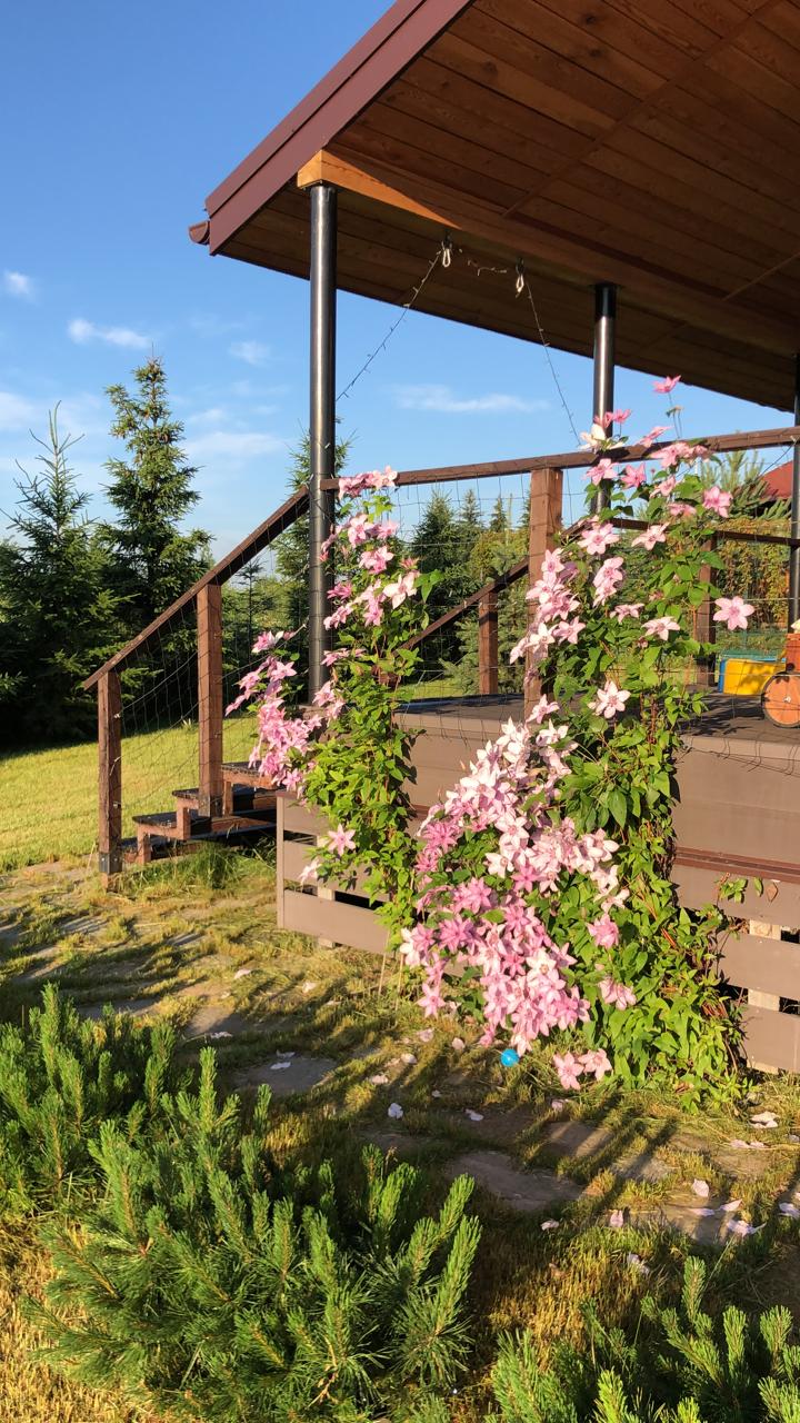 WhatsApp Image 2022-04-25 at 23.01.41