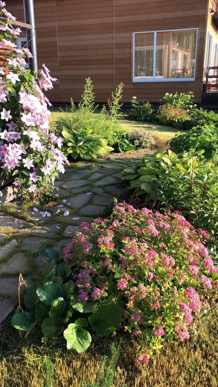 WhatsApp Image 2022-04-25 at 23.02.19