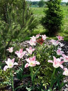 WhatsApp Image 2022-04-25 at 23.08.37