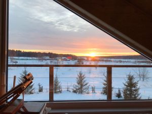 WhatsApp Image 2022-04-25 at 23.19.11