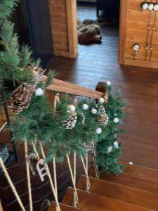 WhatsApp Image 2023-11-09 at 16.52.30 (1)