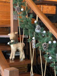 WhatsApp Image 2023-11-09 at 16.52.33