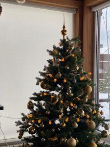 WhatsApp Image 2023-11-09 at 16.52.35