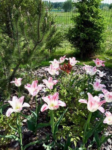 WhatsApp Image 2022-04-25 at 23.08.37