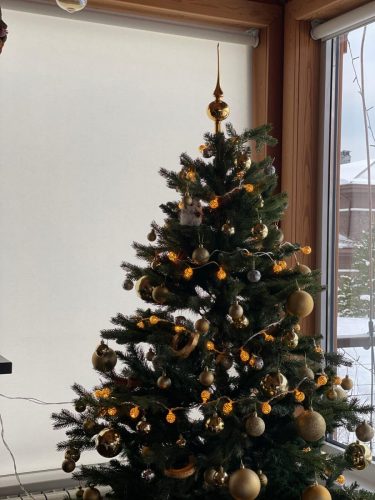 WhatsApp Image 2023-11-09 at 16.52.35