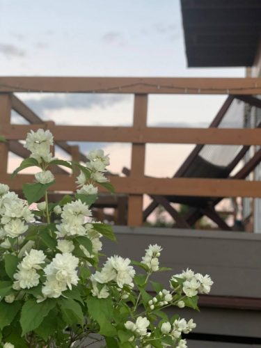 photo_2022-07-11_12-27-18