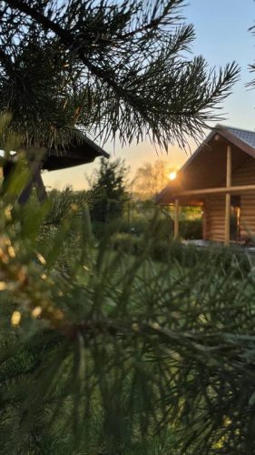 photo_2022-07-11_12-27-22